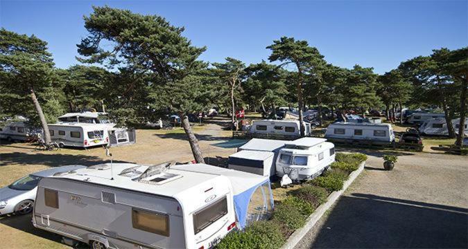 Dueodde Strand Camping Экстерьер фото